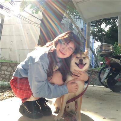 岁岁长宁＆若待玉兰重开时